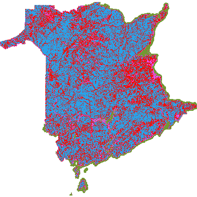 Export Image