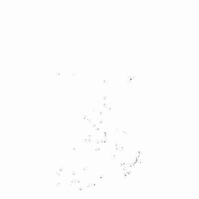 Export Image